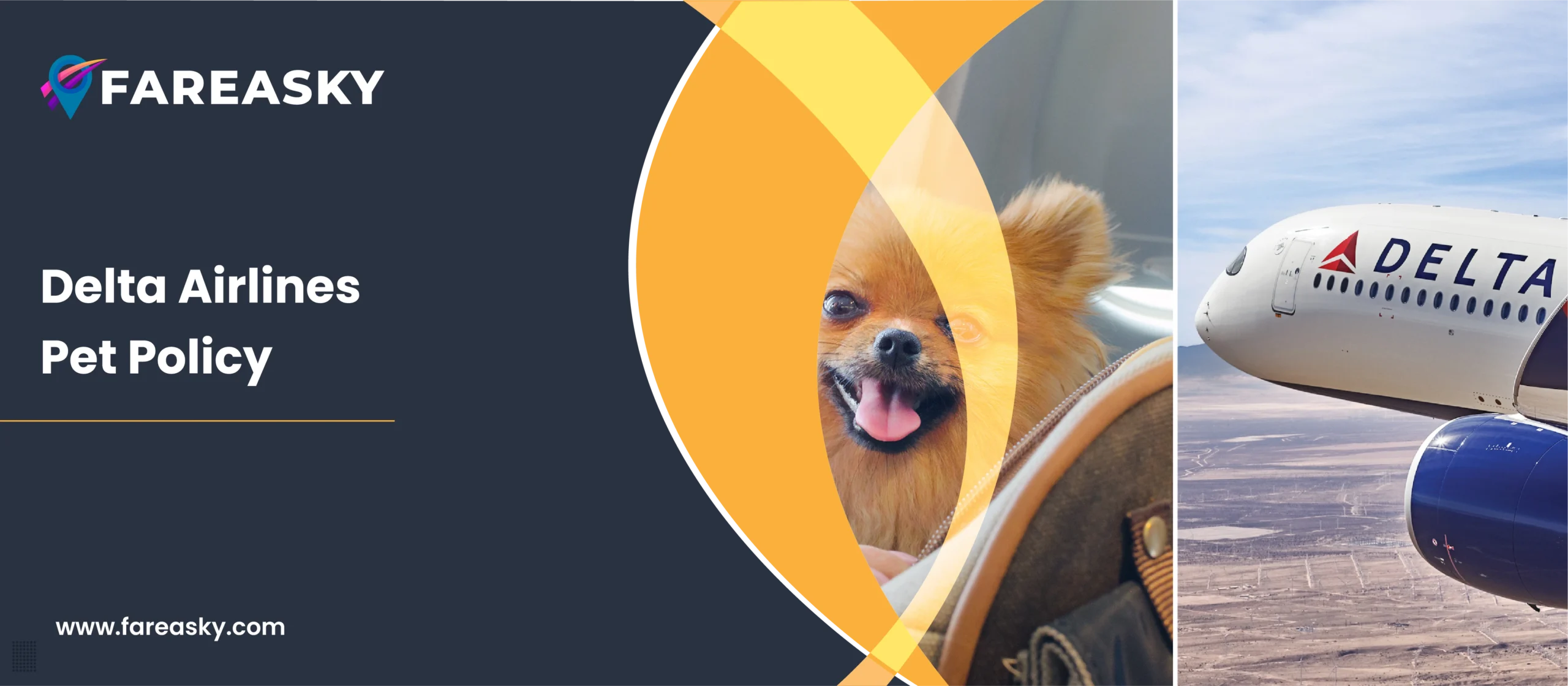 Delta Airlines Pet Policy