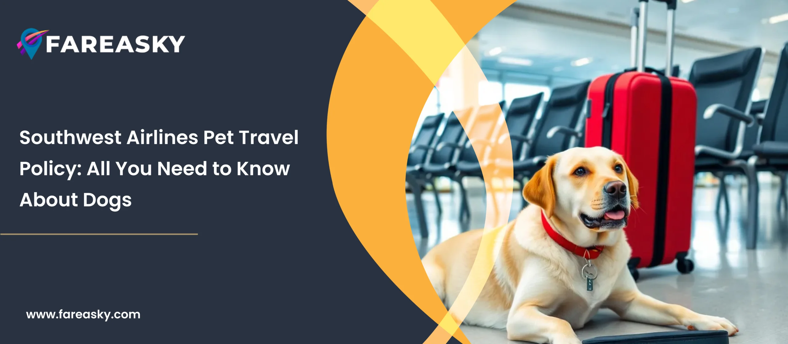 Southwest Pet Policy